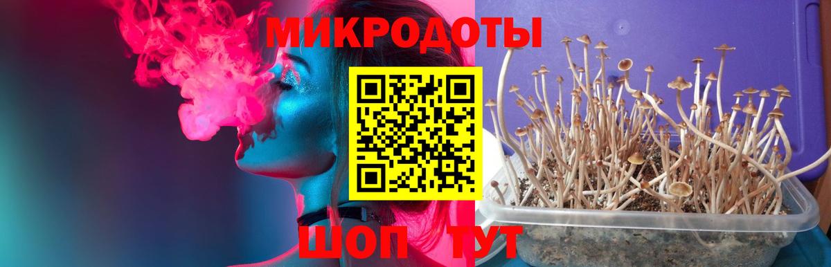 Галлюциногенные грибы прущие грибы Богданович